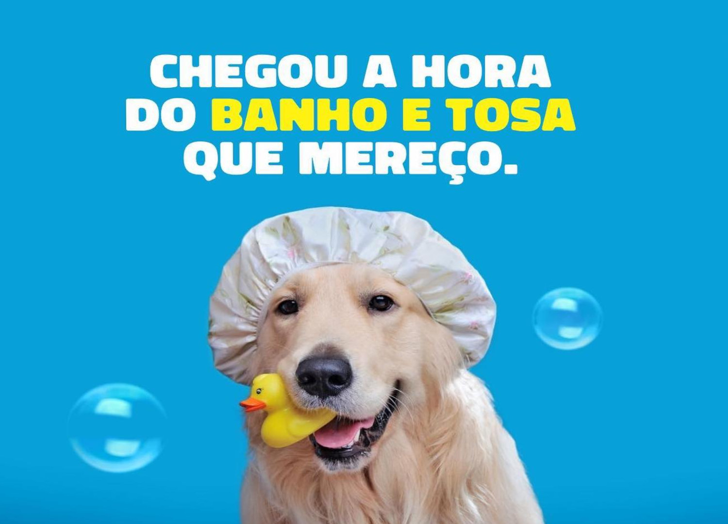 VetCenter