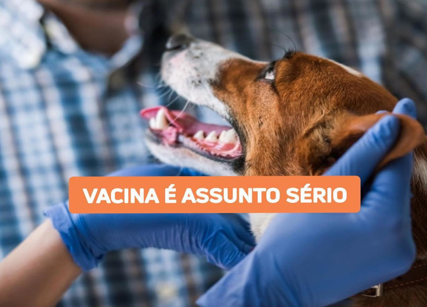 VetCenter